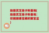旌德灵芝孢子粉基地(旌德灵芝孢子粉基地：挖掘健康宝藏的聚宝盆)