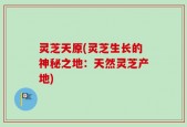 灵芝天原(灵芝生长的神秘之地：天然灵芝产地)