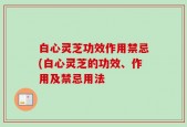 白心灵芝功效作用禁忌(白心灵芝的功效、作用及禁忌用法