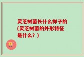 灵芝树菌长什么样子的(灵芝树菌的外形特征是什么？)