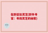 在野区捡灵芝(野外寻宝：寻找灵芝的秘密)
