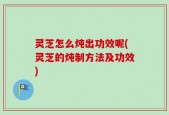 灵芝怎么炖出功效呢(灵芝的炖制方法及功效)