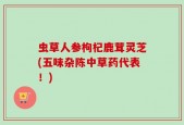 虫草人参枸杞鹿茸灵芝(五味杂陈中草药代表！)