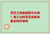 灵芝三萜类提取与分离？加工过的灵芝还能有原本的作用吗