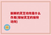 新鲜的灵芝功效是什么作用(探秘灵芝的独特功效)