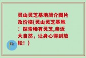 灵山灵芝基地简介图片及价格(灵山灵芝基地：探索稀有灵芝,亲近大自然，让身心得到放松！)