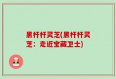 黑杆杆灵芝(黑杆杆灵芝：走近宝藏卫士)