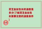 灵芝金丝生长的温度是多少(了解灵芝金丝生长需要注意的温度条件)