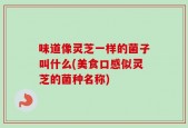 味道像灵芝一样的菌子叫什么(美食口感似灵芝的菌种名称)