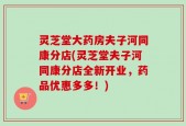 灵芝堂大药房夫子河同康分店(灵芝堂夫子河同康分店全新开业，药品优惠多多！)