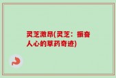 灵芝激昂(灵芝：振奋人心的草药奇迹)