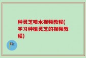 种灵芝喷水视频教程(学习种植灵芝的视频教程)