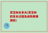 灵芝树长多大(灵芝树的生长过程及成熟规律简析)