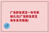 广东野生灵芝一年可采摘几次(广东野生灵芝每年多次采摘)