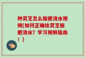 种灵芝怎么施肥浇水视频(如何正确给灵芝施肥浇水？学习视频指南！)