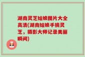 湖南灵芝姑娘图片大全高清(湖南姑娘手摘灵芝，摄影大师记录美丽瞬间)