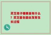 灵芝孢子棚里面有什么？灵芝菌包菌丝发育生长过程