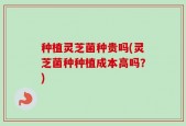 种植灵芝菌种贵吗(灵芝菌种种植成本高吗？)