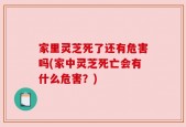 家里灵芝死了还有危害吗(家中灵芝死亡会有什么危害？)