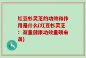 红豆杉灵芝的功效和作用是什么(红豆杉灵芝：双重健康功效重磅来袭)