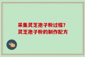 采集灵芝孢子粉过程？灵芝孢子粉的制作配方