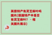 英德特产有灵芝麻叶吗图片(德国特产中是否有灵芝麻叶？ - 相关图片展示)