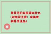 煮灵芝的双层壶叫什么(双层灵芝壶：完美煮制养生佳品)