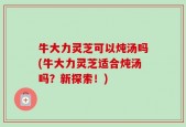 牛大力灵芝可以炖汤吗(牛大力灵芝适合炖汤吗？新探索！)