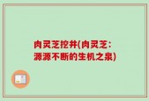 肉灵芝挖井(肉灵芝：源源不断的生机之泉)