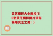 灵芝模样大全图片(50张灵芝模样图片带你领略灵芝之美！)