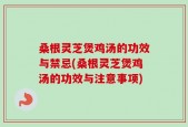 桑根灵芝煲鸡汤的功效与禁忌(桑根灵芝煲鸡汤的功效与注意事项)