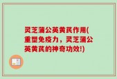 灵芝蒲公英黄芪作用(重塑免疫力，灵芝蒲公英黄芪的神奇功效!)