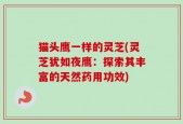 猫头鹰一样的灵芝(灵芝犹如夜鹰：探索其丰富的天然药用功效)