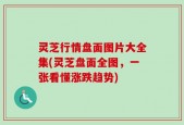 灵芝行情盘面图片大全集(灵芝盘面全图，一张看懂涨跌趋势)