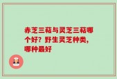 赤芝三萜与灵芝三萜哪个好？野生灵芝种类,哪种最好