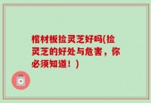 棺材板捡灵芝好吗(捡灵芝的好处与危害，你必须知道！)