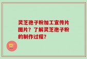 灵芝孢子粉加工宣传片图片？了解灵芝孢子粉的制作过程？
