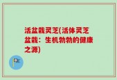 活盆栽灵芝(活体灵芝盆栽：生机勃勃的健康之源)