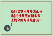 松针灵芝拼多多怎么分类(松针灵芝在拼多多上的分类方法是什么？)