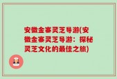 安徽金寨灵芝导游(安徽金寨灵芝导游：探秘灵芝文化的最佳之旅)