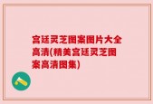 宫廷灵芝图案图片大全高清(精美宫廷灵芝图案高清图集)