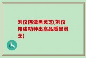刘仪伟做黑灵芝(刘仪伟成功种出高品质黑灵芝)