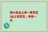 别人在山上采一些灵芝(山上采灵芝，丰收一片