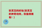 软灵芝的好处(软灵芝的神奇功效，你值得拥有！)