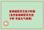 富硒破壁灵芝孢子粉图(自然富硒破壁灵芝孢子粉 丰富元气健康)