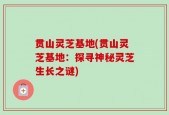 贯山灵芝基地(贯山灵芝基地：探寻神秘灵芝生长之谜)