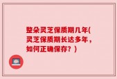 整朵灵芝保质期几年(灵芝保质期长达多年，如何正确保存？)