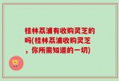 桂林荔浦有收购灵芝的吗(桂林荔浦收购灵芝，你所需知道的一切)