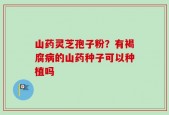 山药灵芝孢子粉？有褐腐病的山药种子可以种植吗