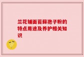 兰花铺面苔藓孢子粉的特点用途及养护相关知识